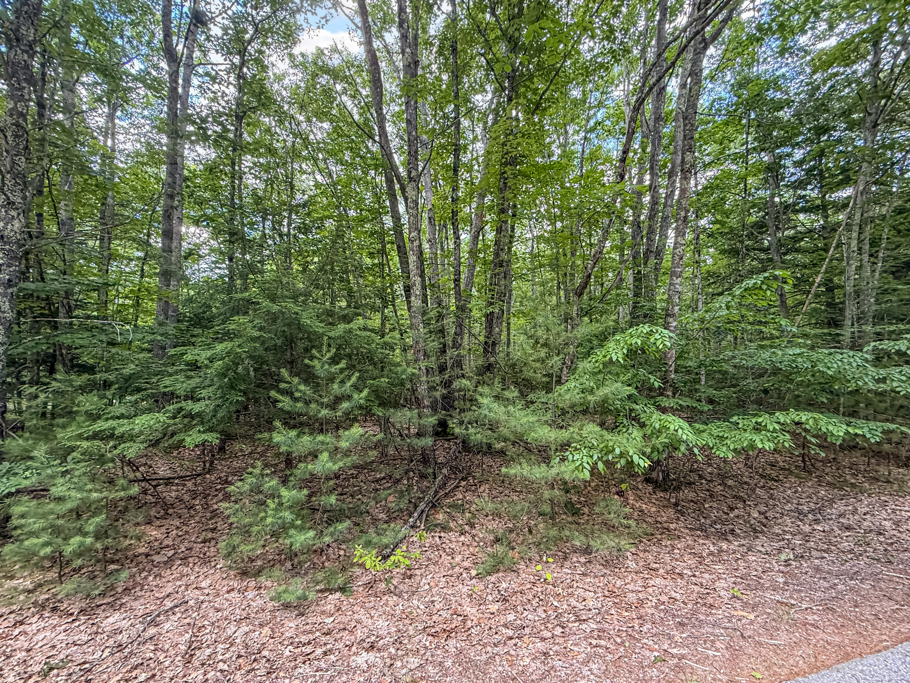 Lot 36-5 Union Falls Road Property Photo 9