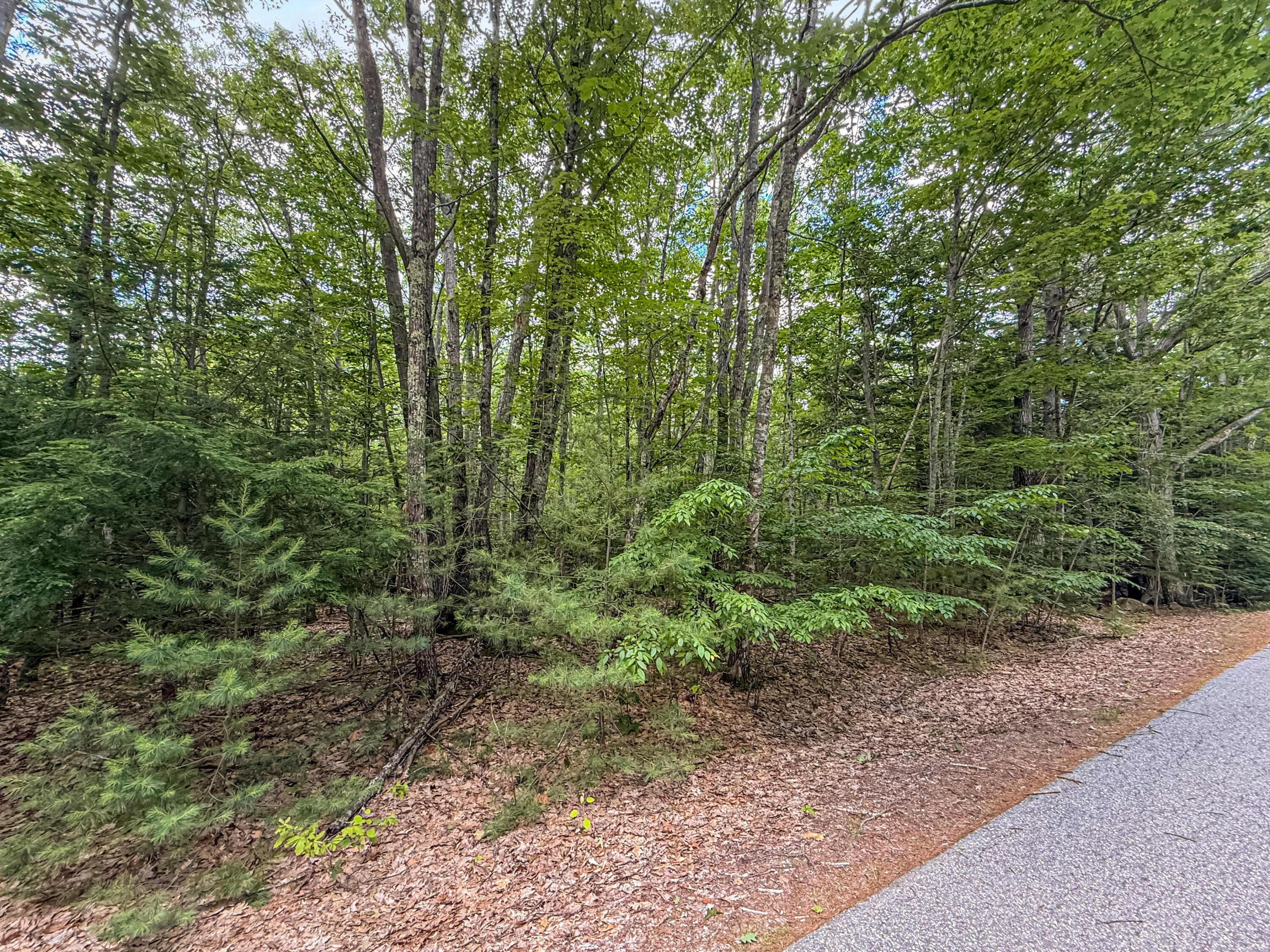 Lot 36-5 Union Falls Road Property Photo 10
