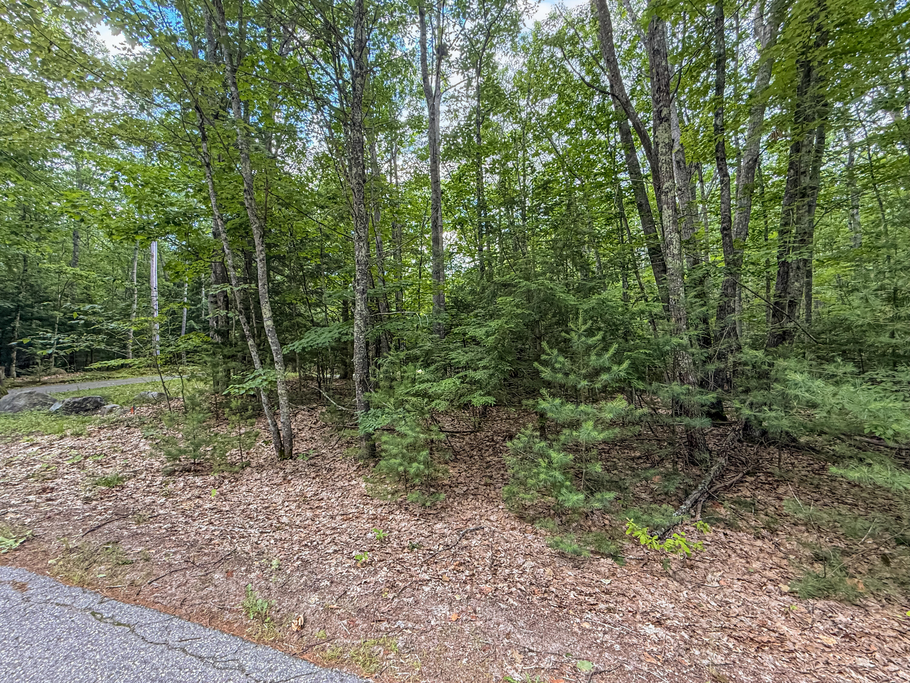 Lot 36-5 Union Falls Road Property Photo 11