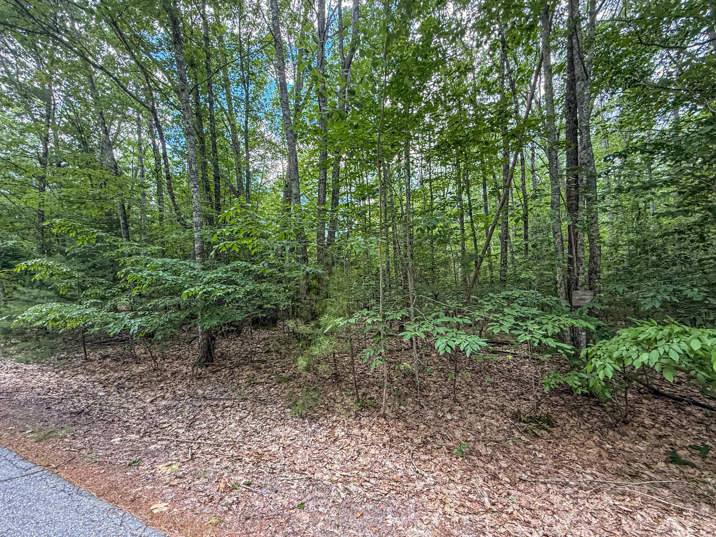 Lot 36-5 Union Falls Road Property Photo 12