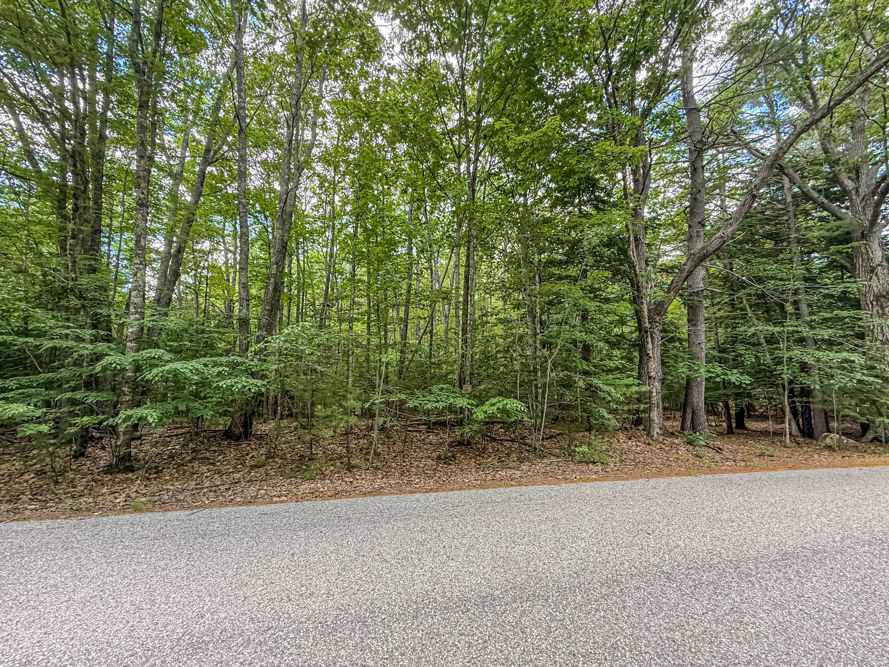 Lot 36-5 Union Falls Road Property Photo 13