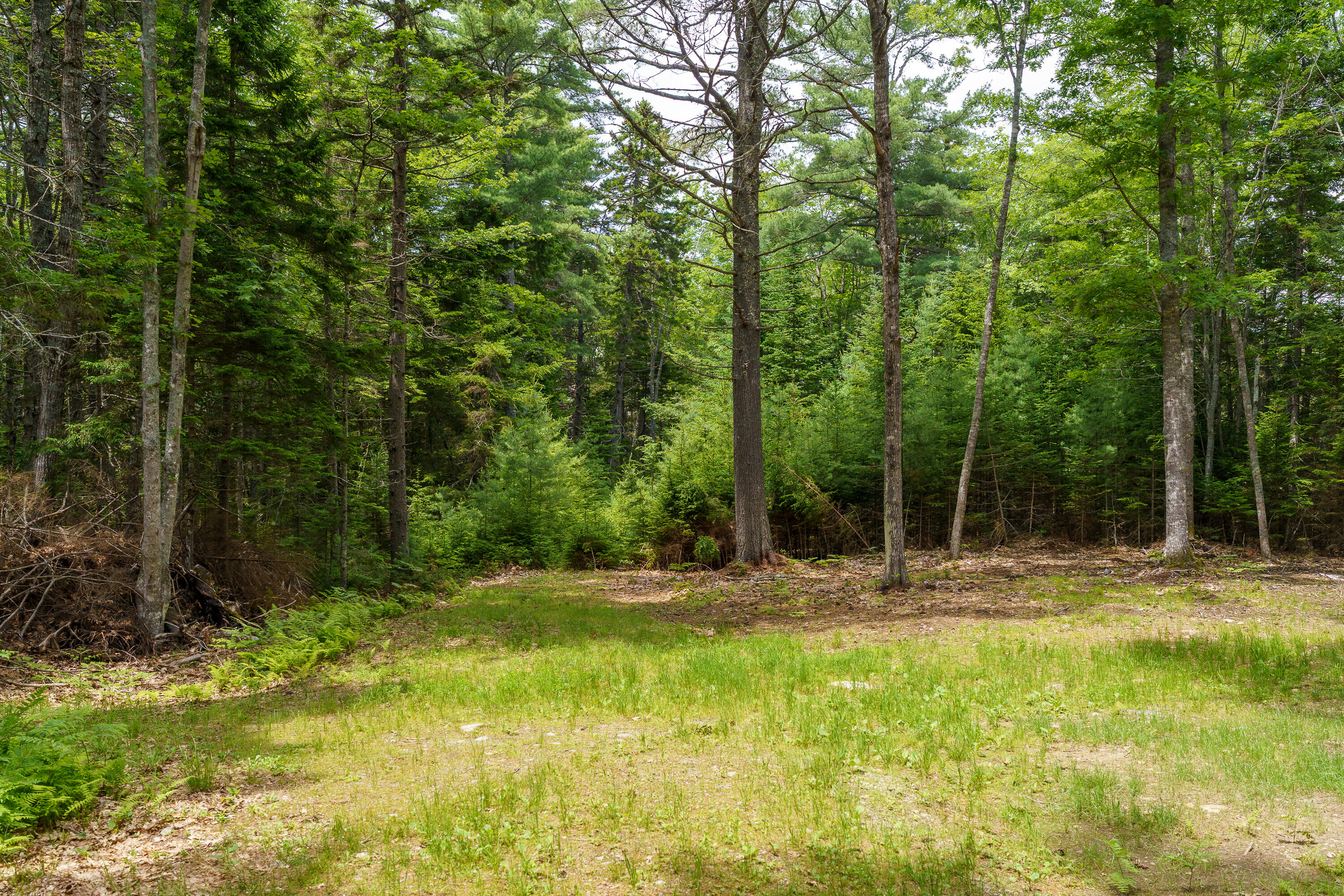 205 Steves Road Property Photo 8