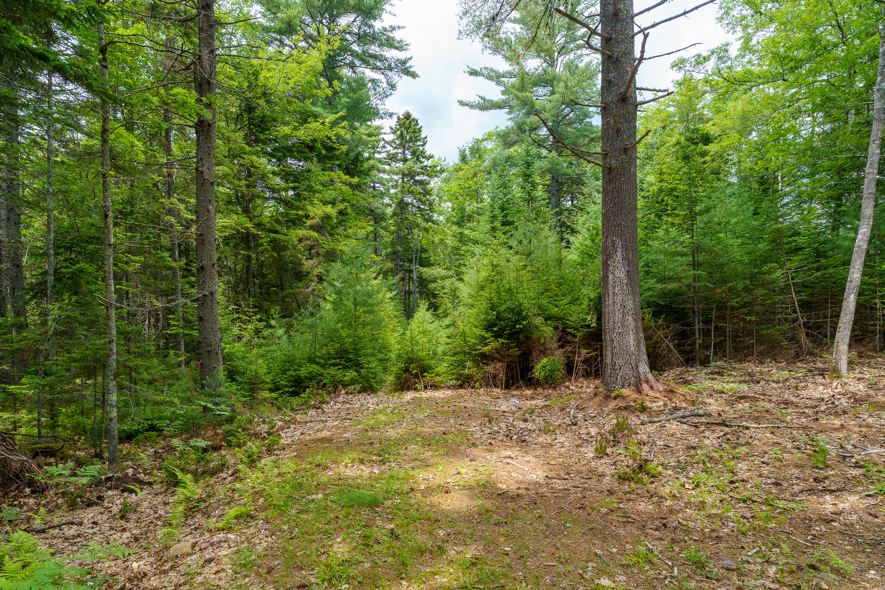 205 Steves Road Property Photo 9