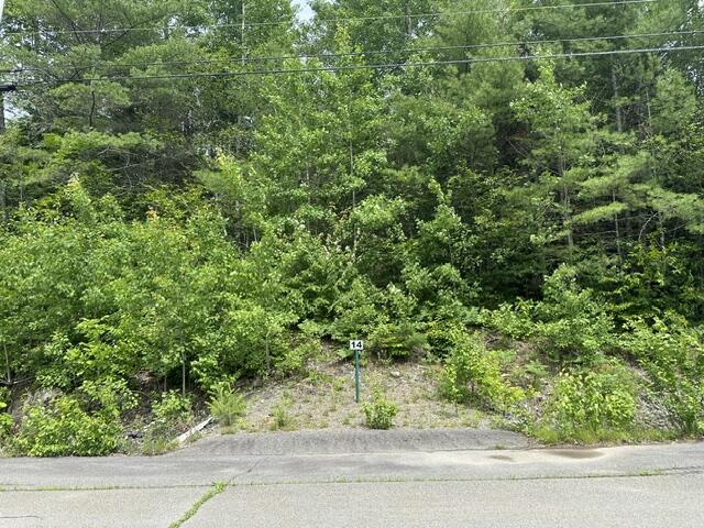 Lot 14 Grant Road Property Photo 1