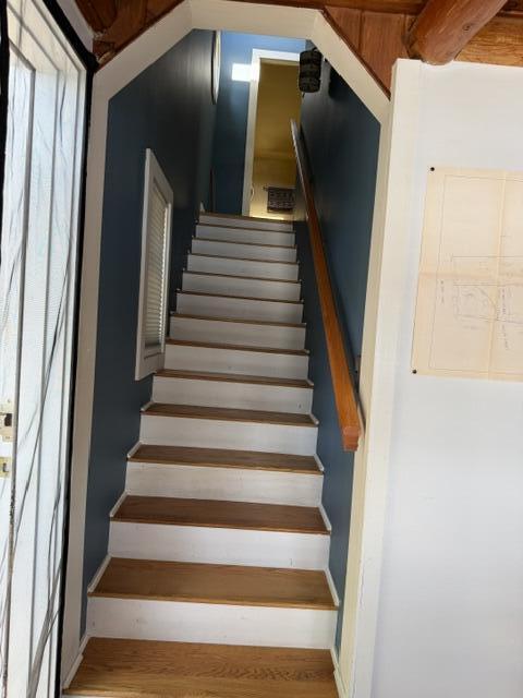 66 Fuller Street Property Photo 53