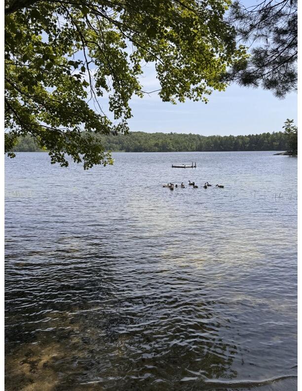 Lot#018 Biscay Road Property Photo 1