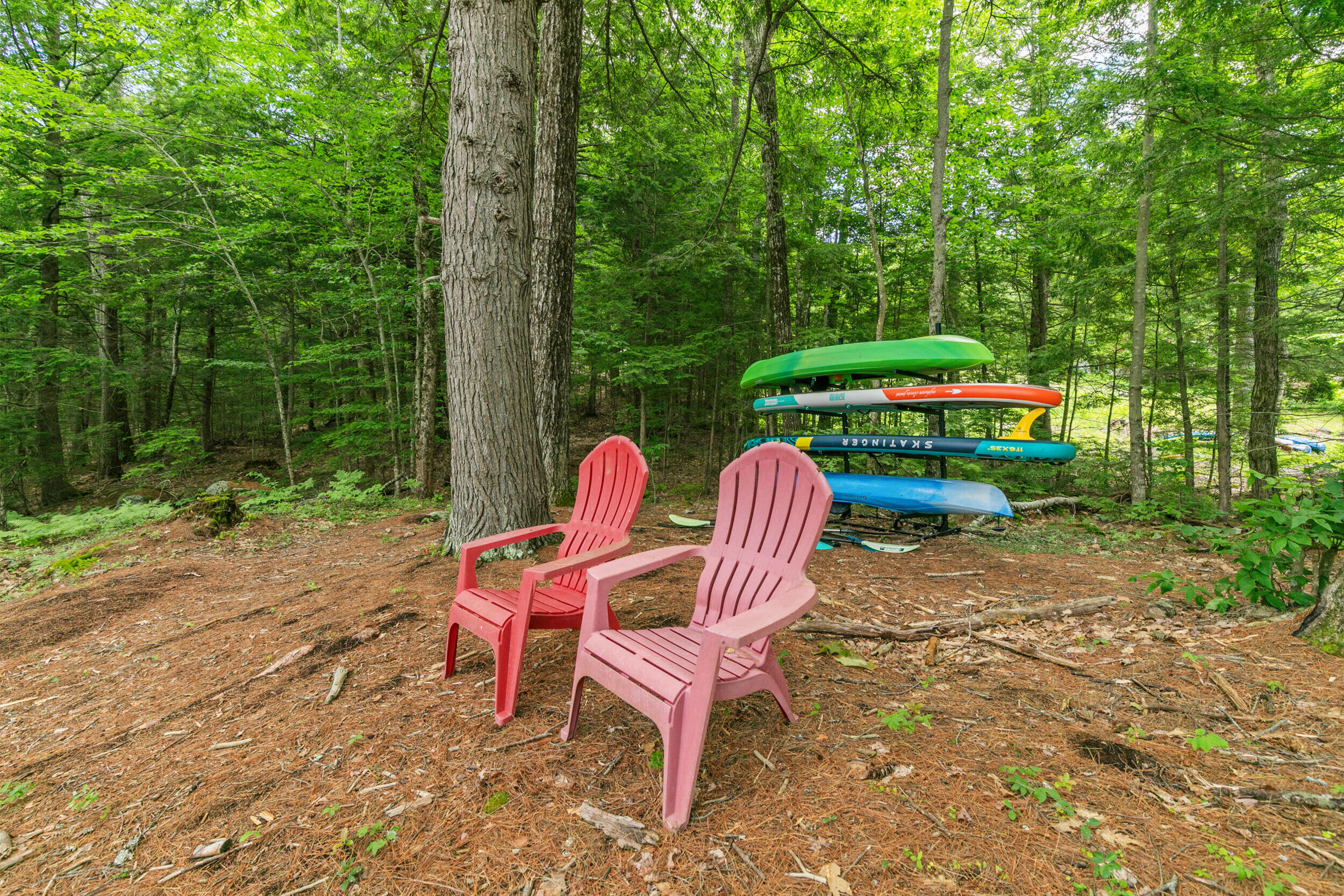 386 Lake House Road Property Photo 6