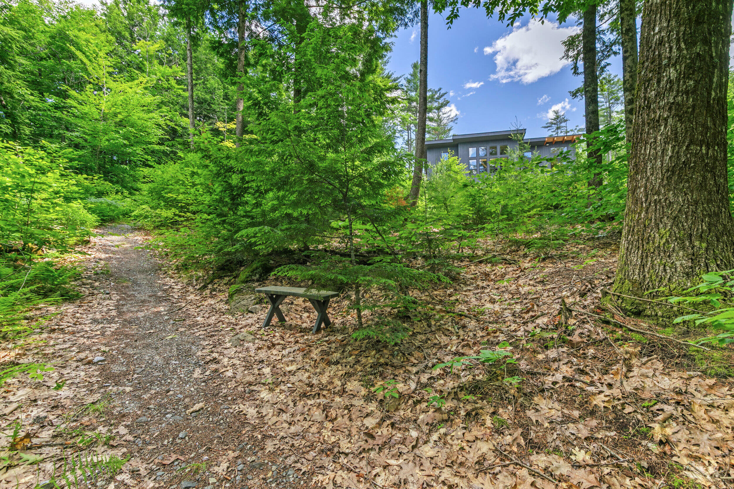 386 Lake House Road Property Photo 77