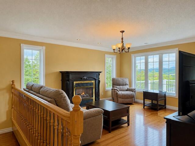 504 Albert Street Property Photo 26