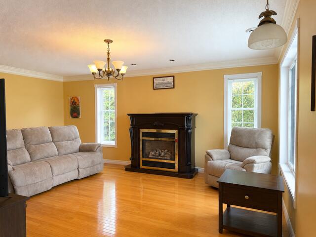 504 Albert Street Property Photo 27