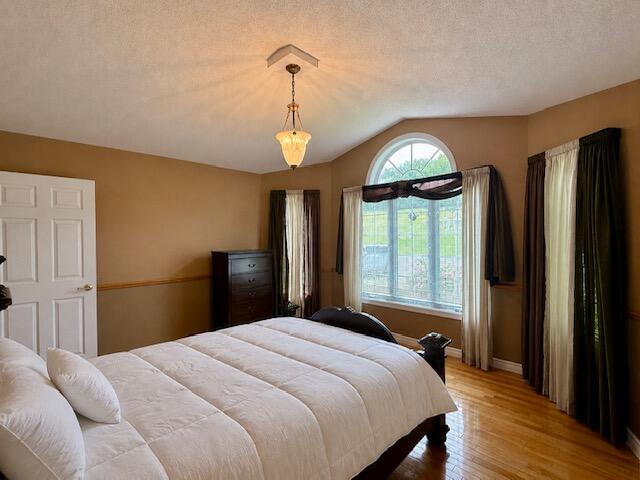 504 Albert Street Property Photo 29
