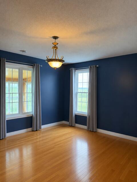 504 Albert Street Property Photo 31