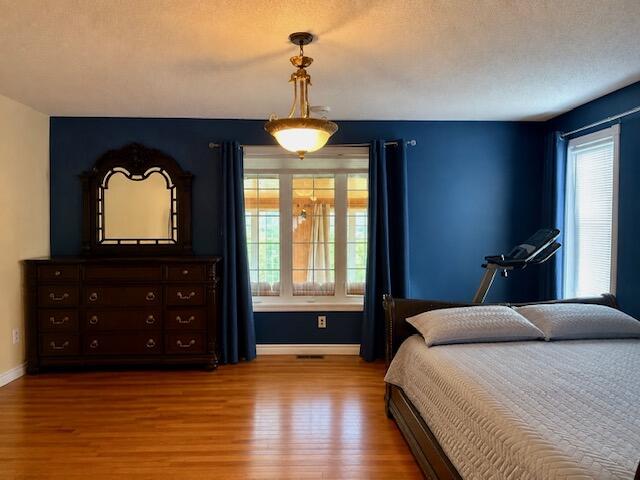504 Albert Street Property Photo 32