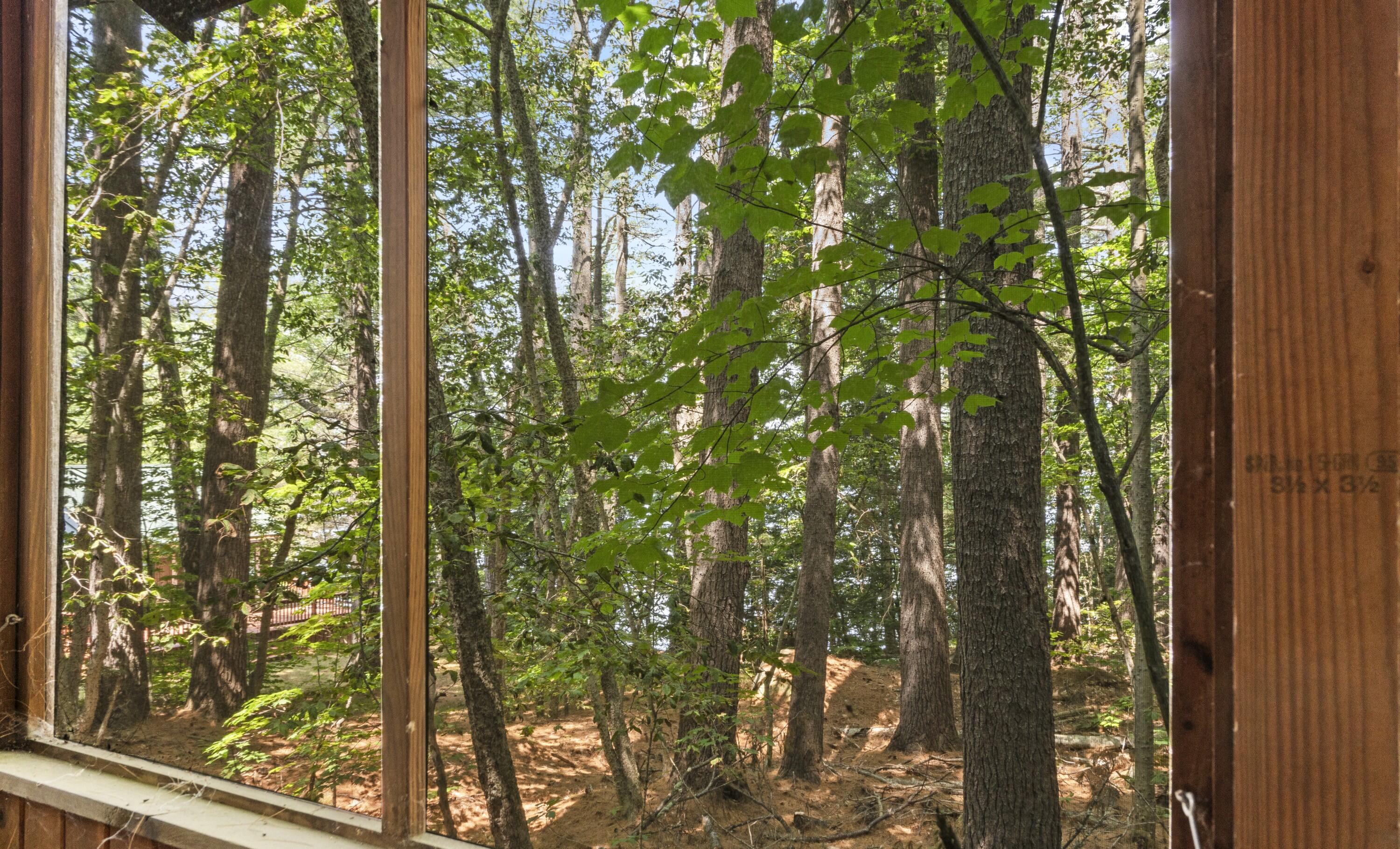 20 & 21 Bass Cove Property Photo 60