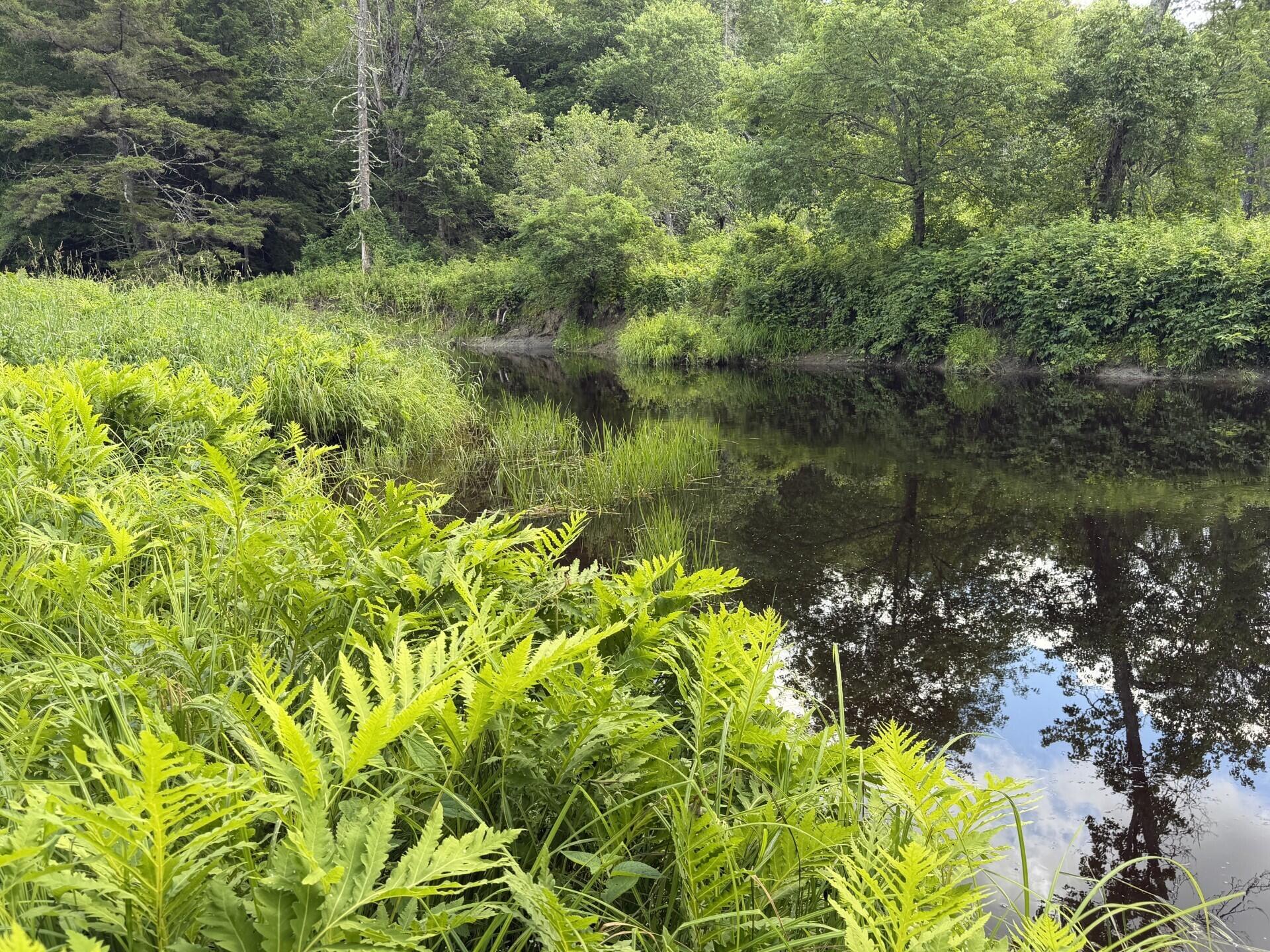 Lot 16-6 Norridgewock Road Property Photo 1