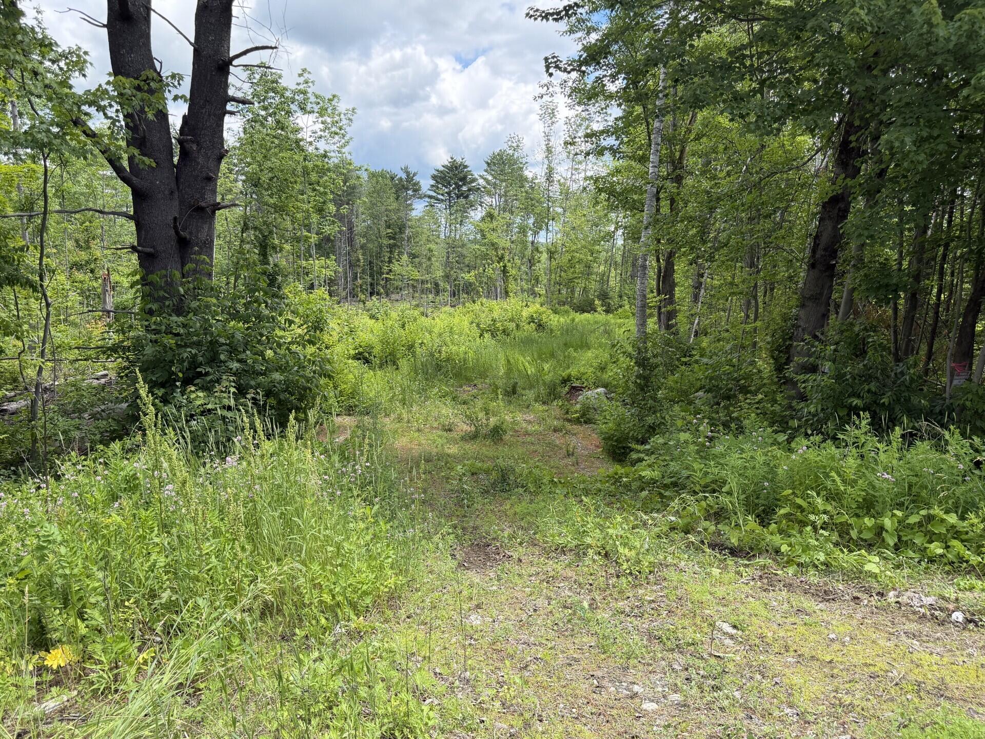 Lot 16-6 Norridgewock Road Property Photo 3