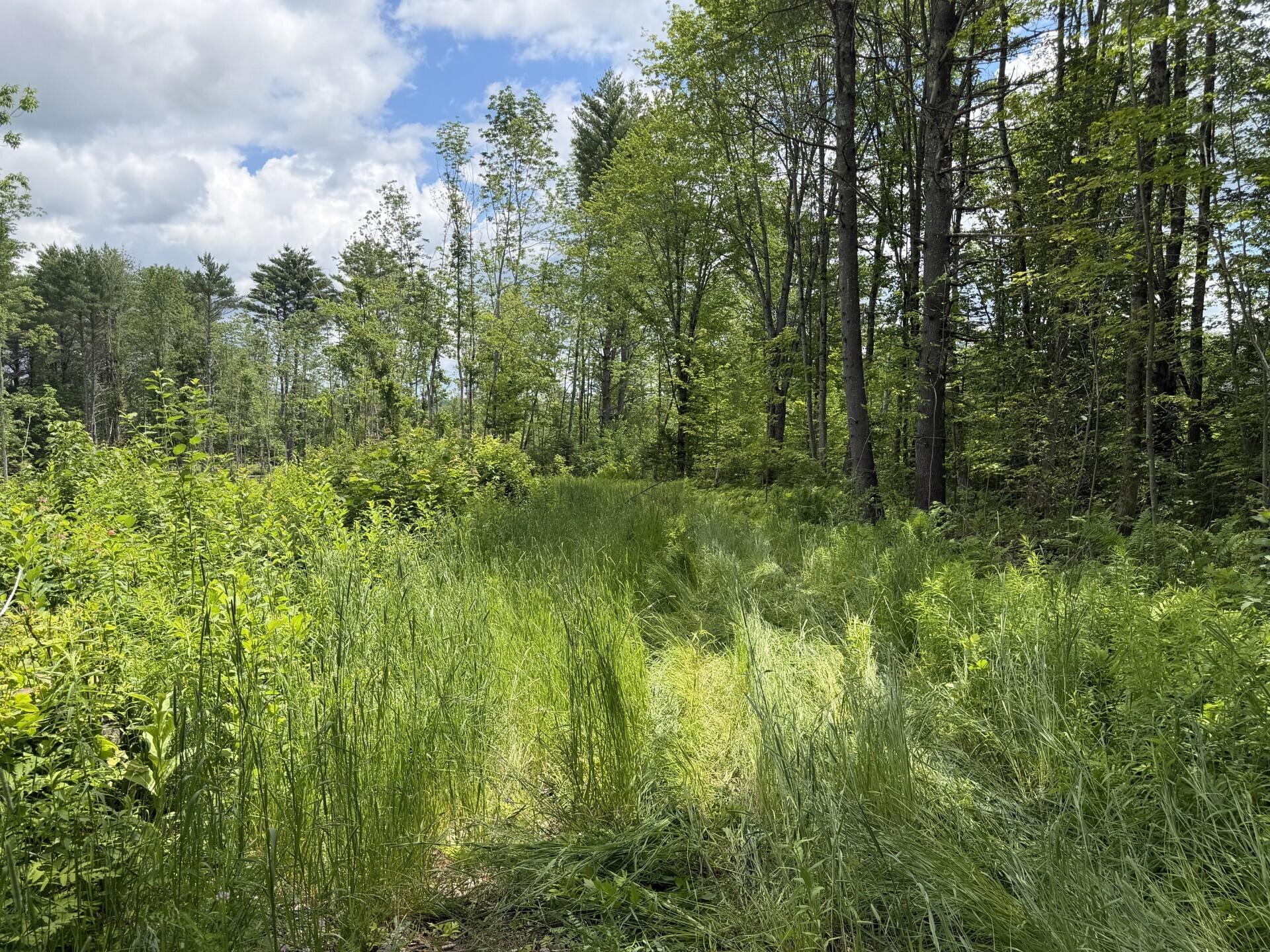 Lot 16-6 Norridgewock Road Property Photo 4