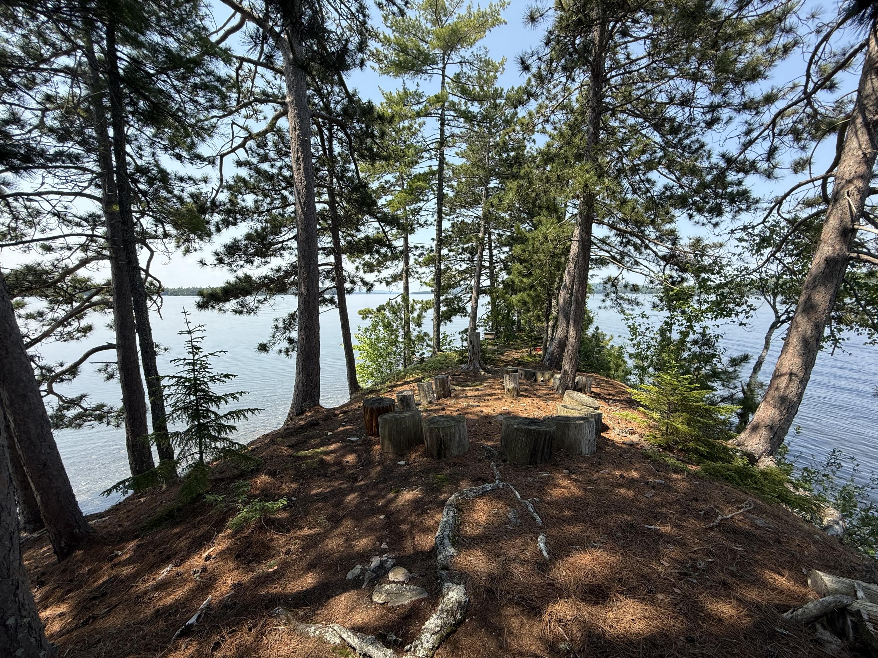#36 Snake Island Property Photo 32
