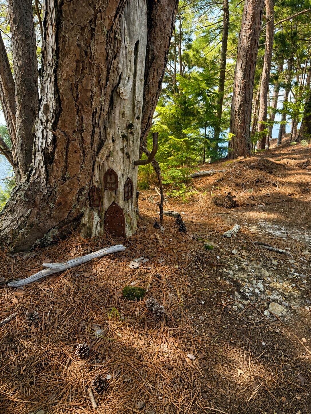 #36 Snake Island Property Photo 33