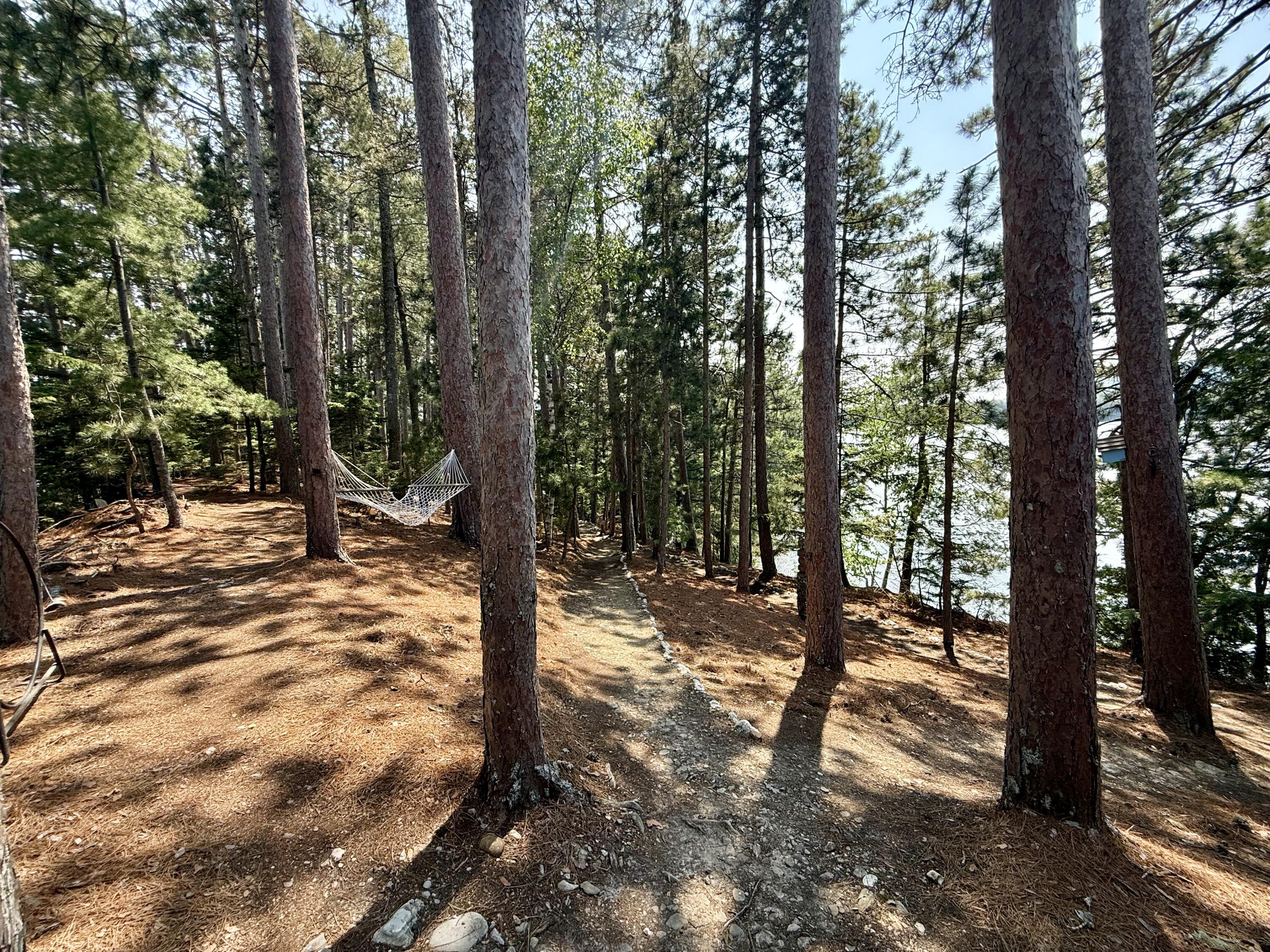 #36 Snake Island Property Photo 36