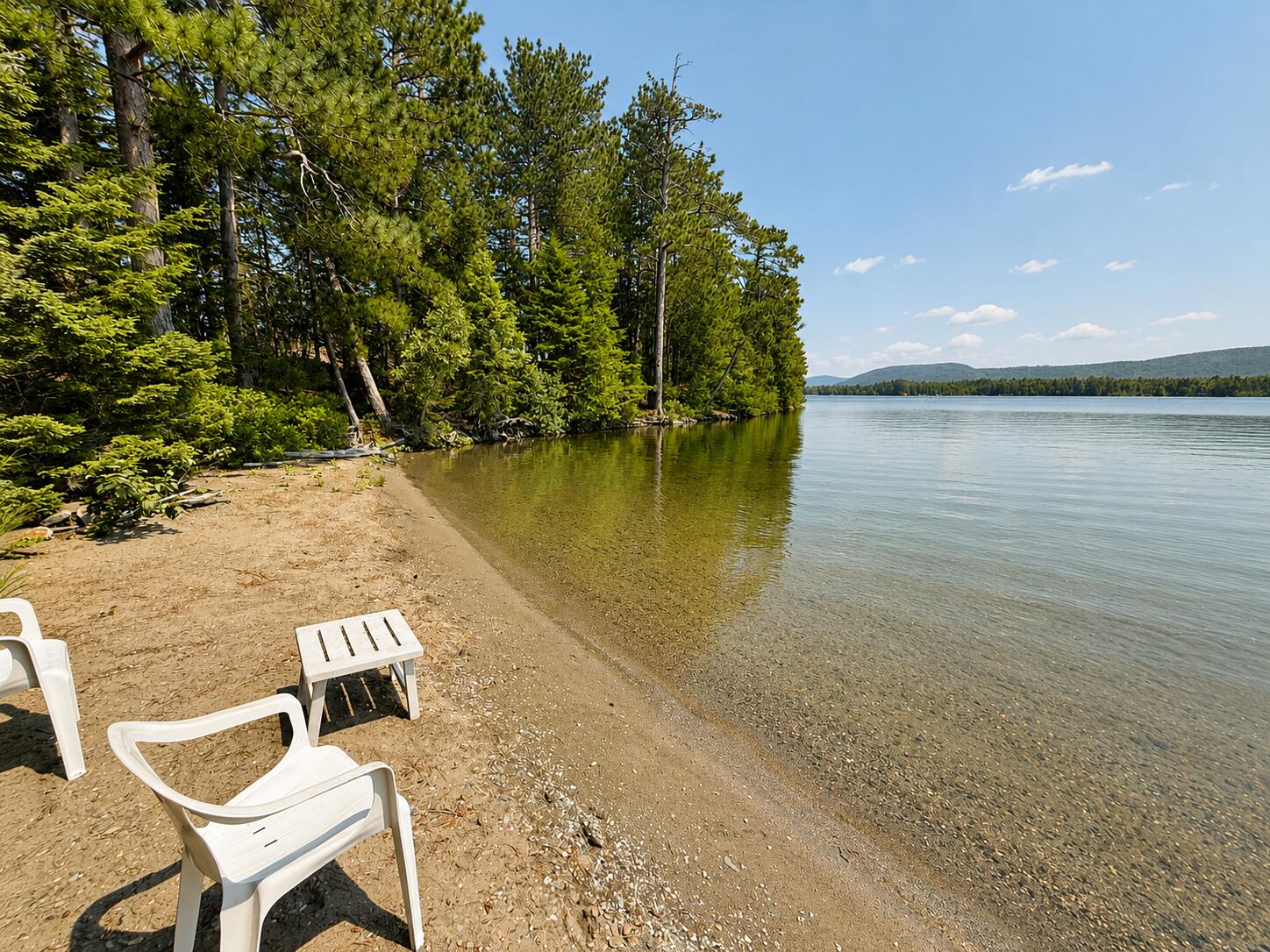 #36 Snake Island Property Photo 46