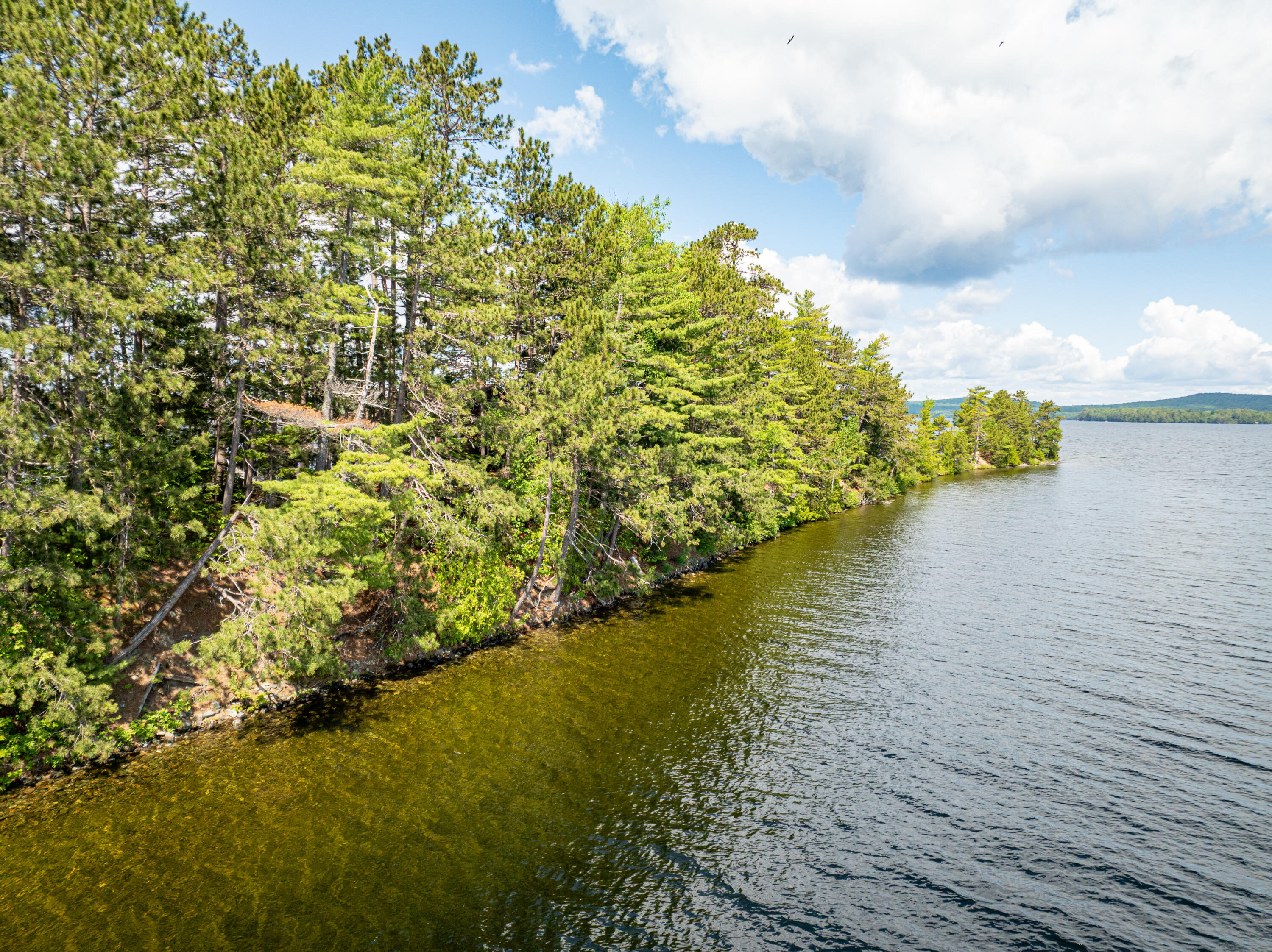 #36 Snake Island Property Photo 53