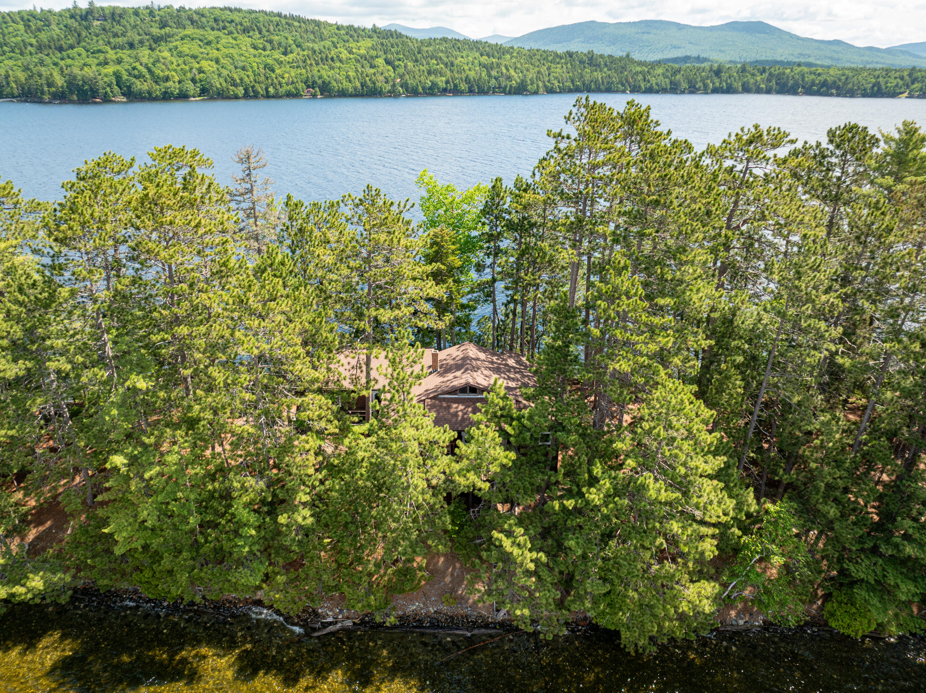 #36 Snake Island Property Photo 54