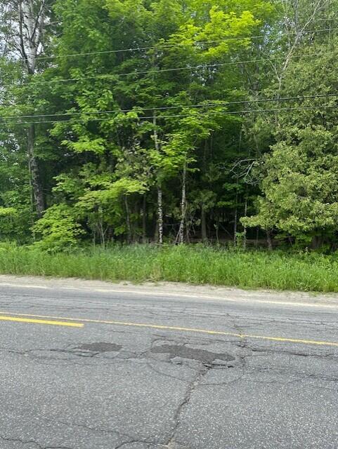 3-3-a Avenue Road Property Photo 2