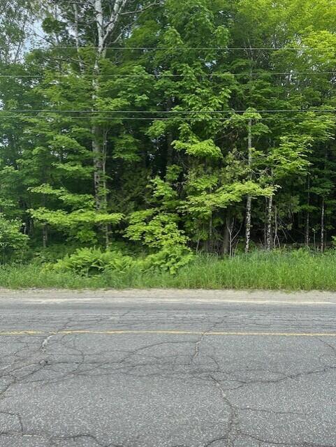 3-3-a Avenue Road Property Photo 3