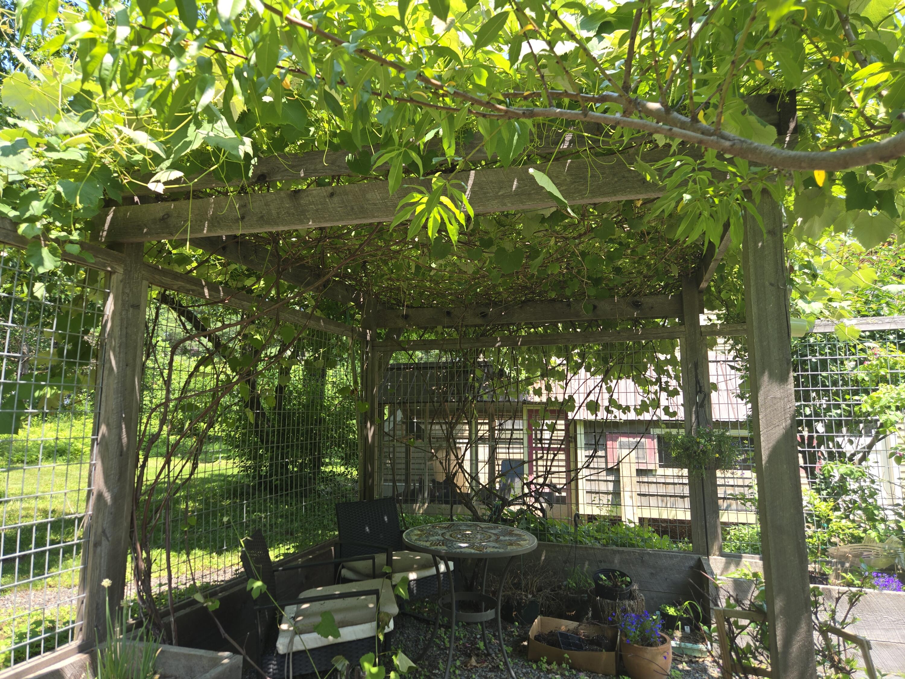 32 Old Fairgrounds Road Property Photo 56