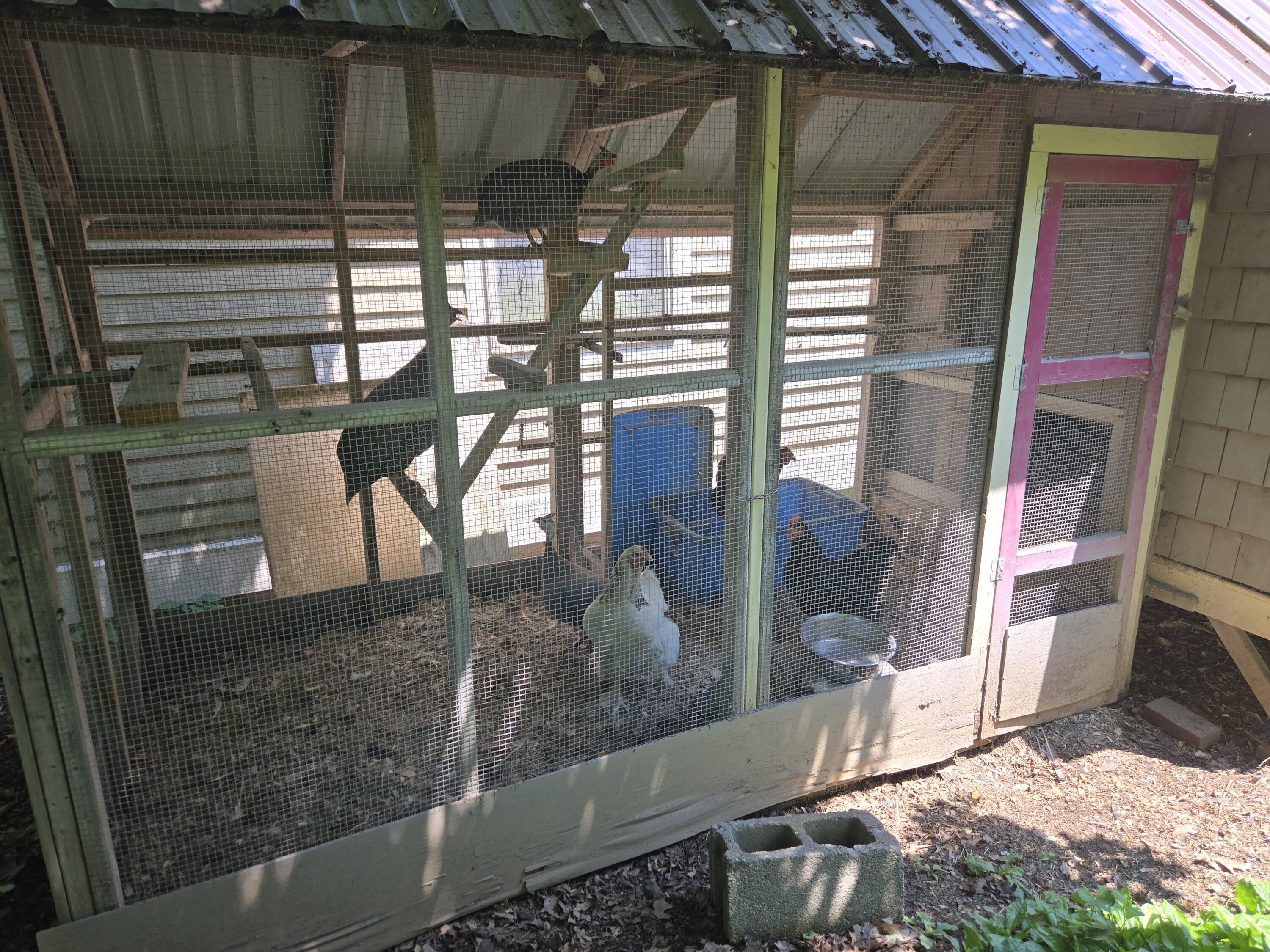 32 Old Fairgrounds Road Property Photo 59