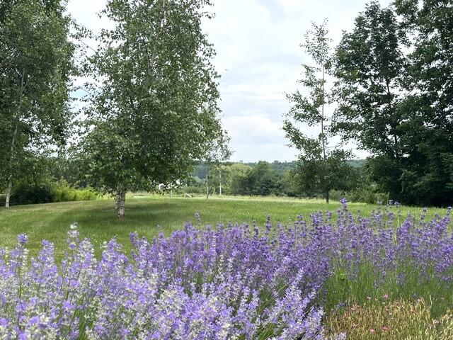 32 Old Fairgrounds Road Property Photo 89