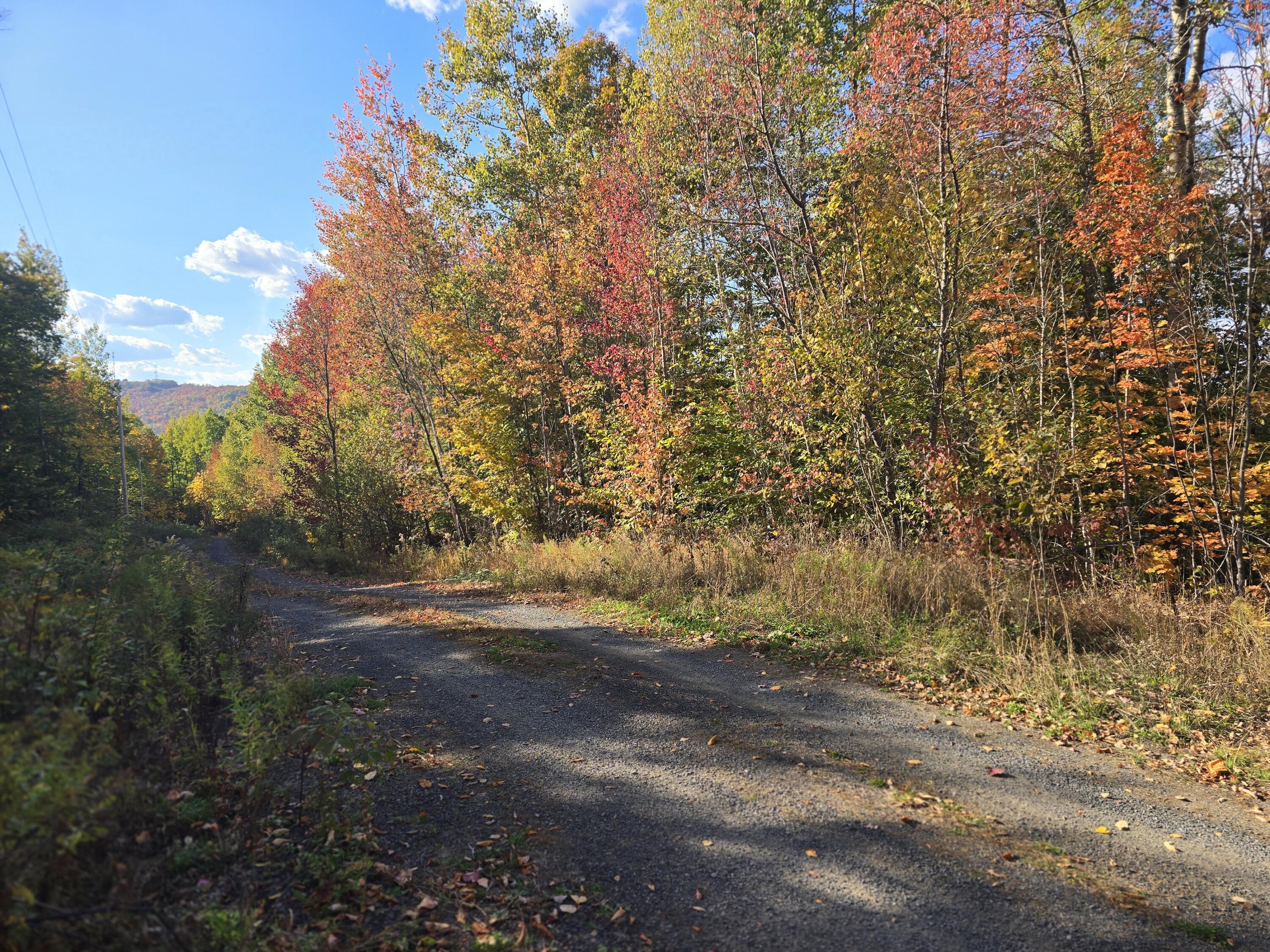 Lot 21 Red Granite Road Property Photo 3