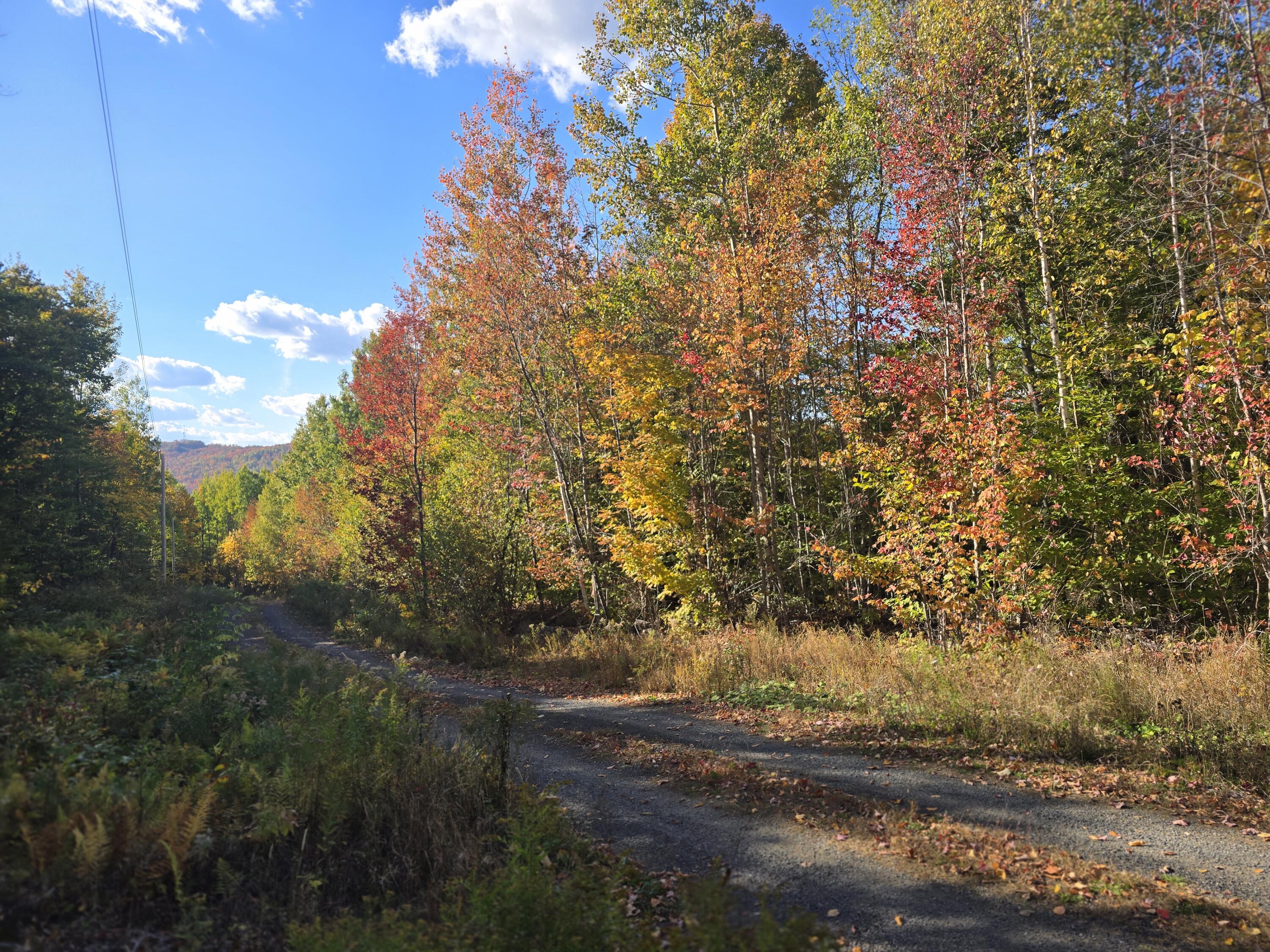 Lot 21 Red Granite Road Property Photo 4