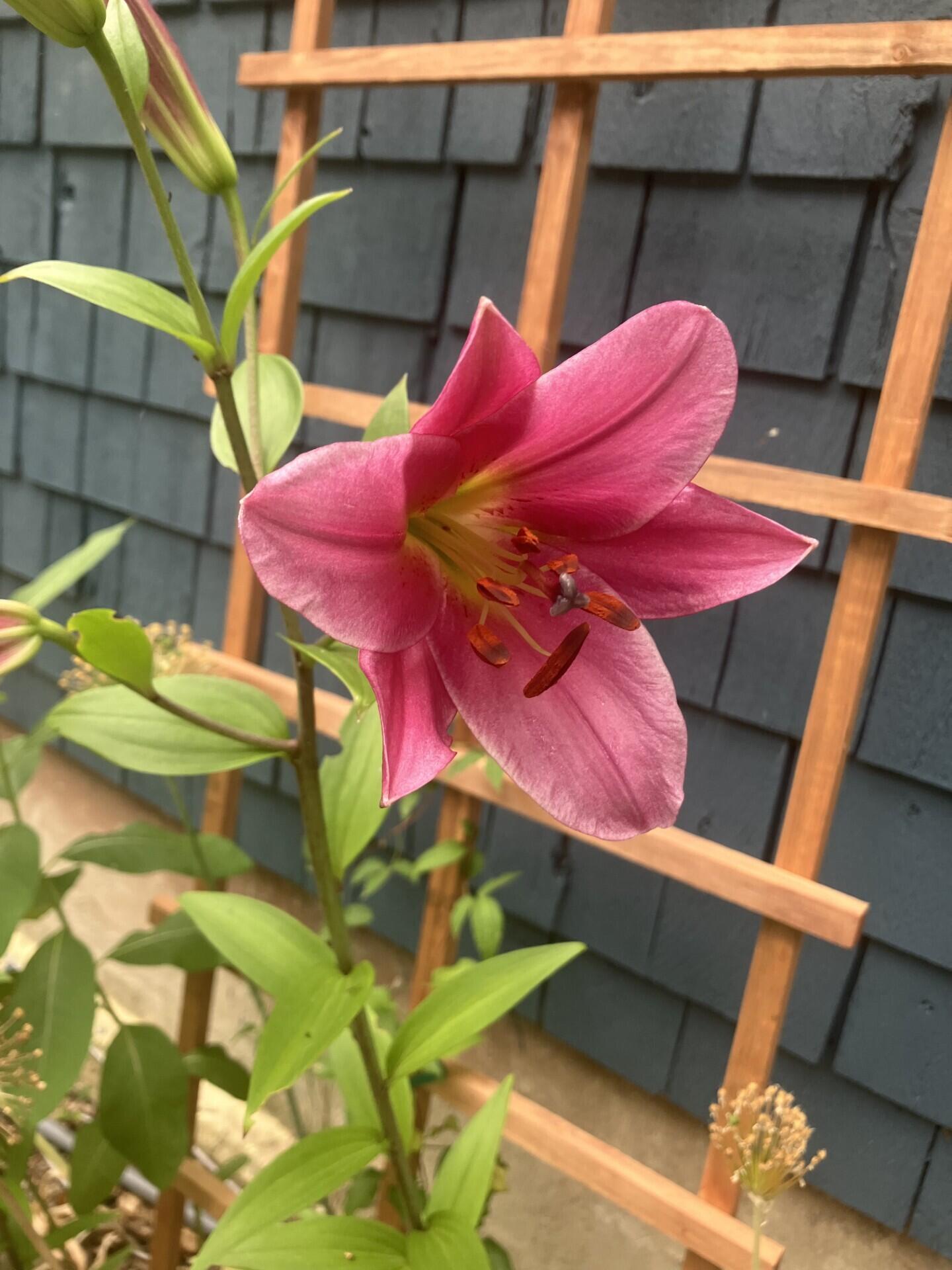 41 Rowe Brook Road Property Photo 48
