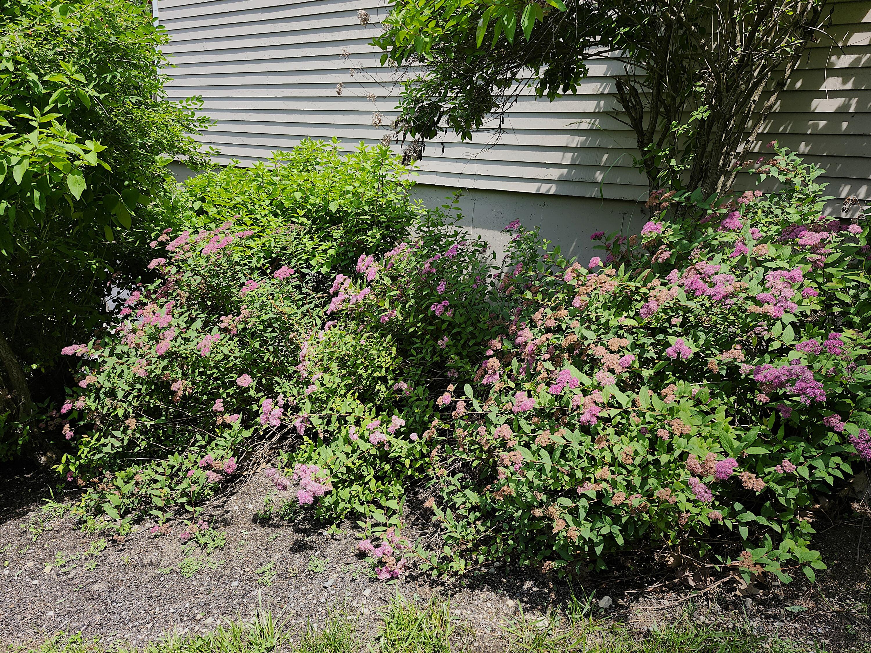 56 Hydrangea Circle 10 Property Photo 45