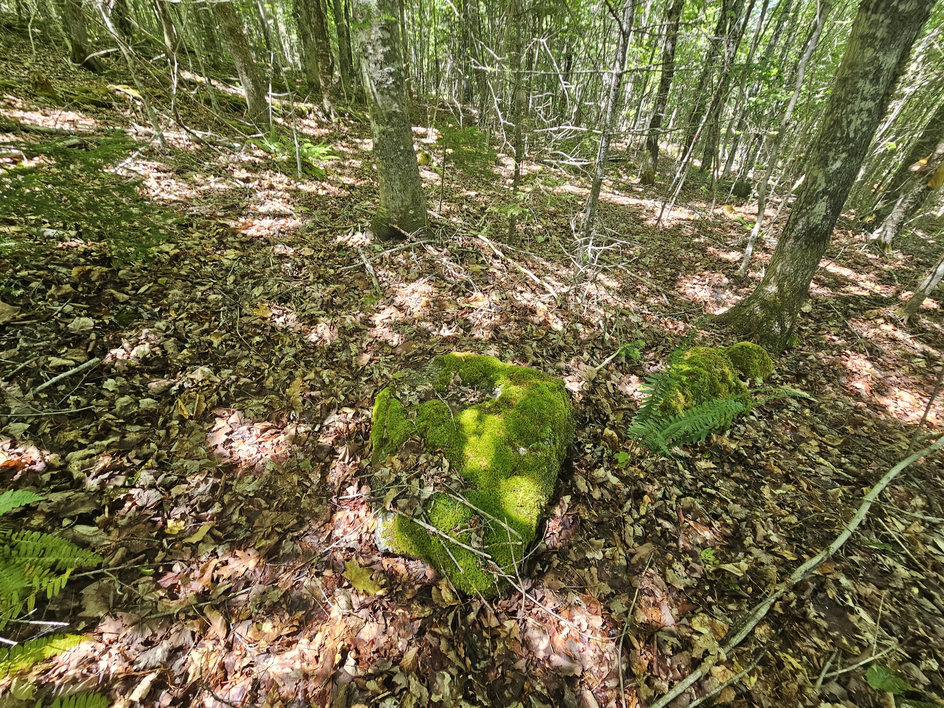 Lot 2 Martins Ridge Road Property Photo 8