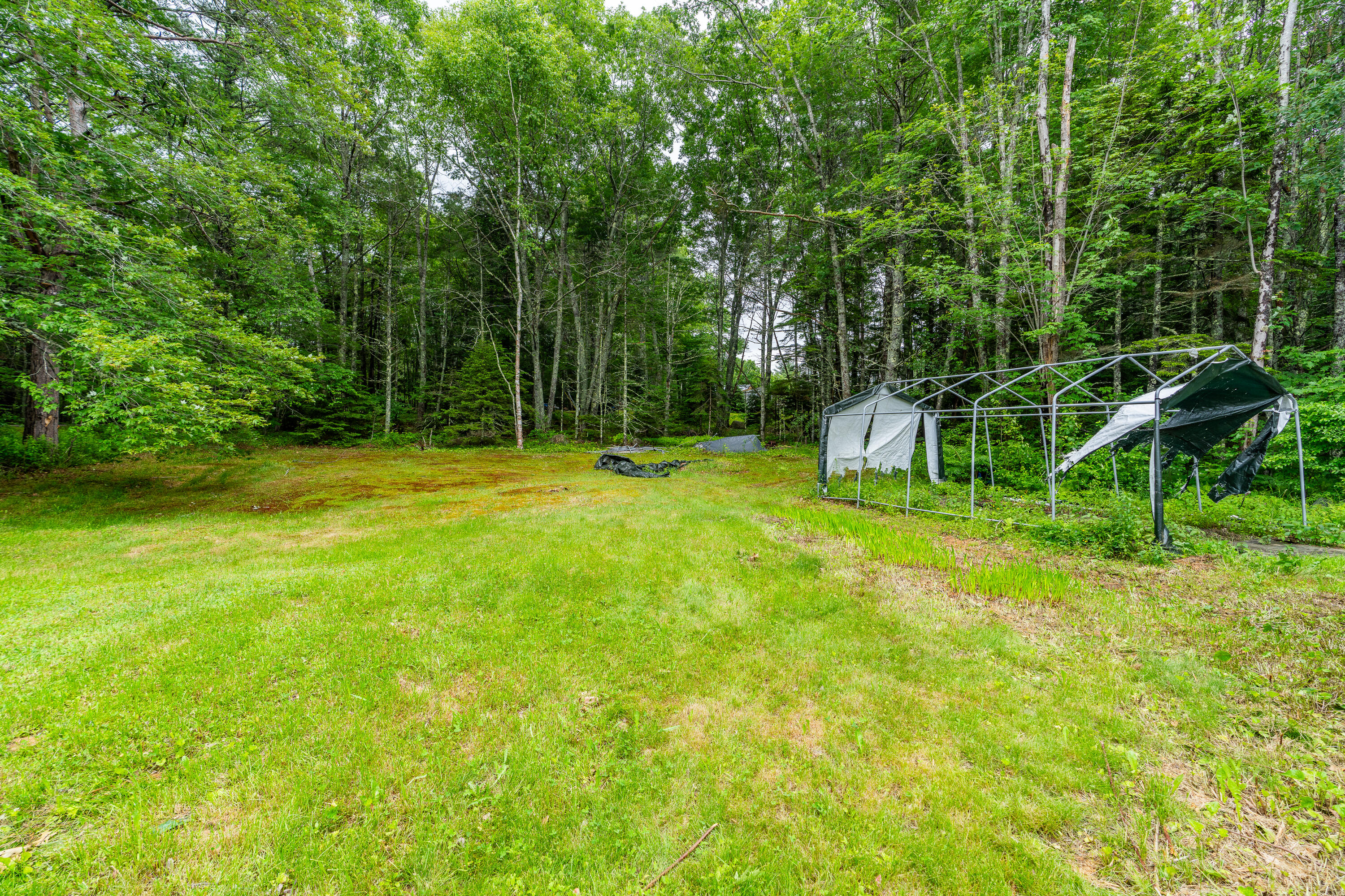 41 River Road Property Photo 41