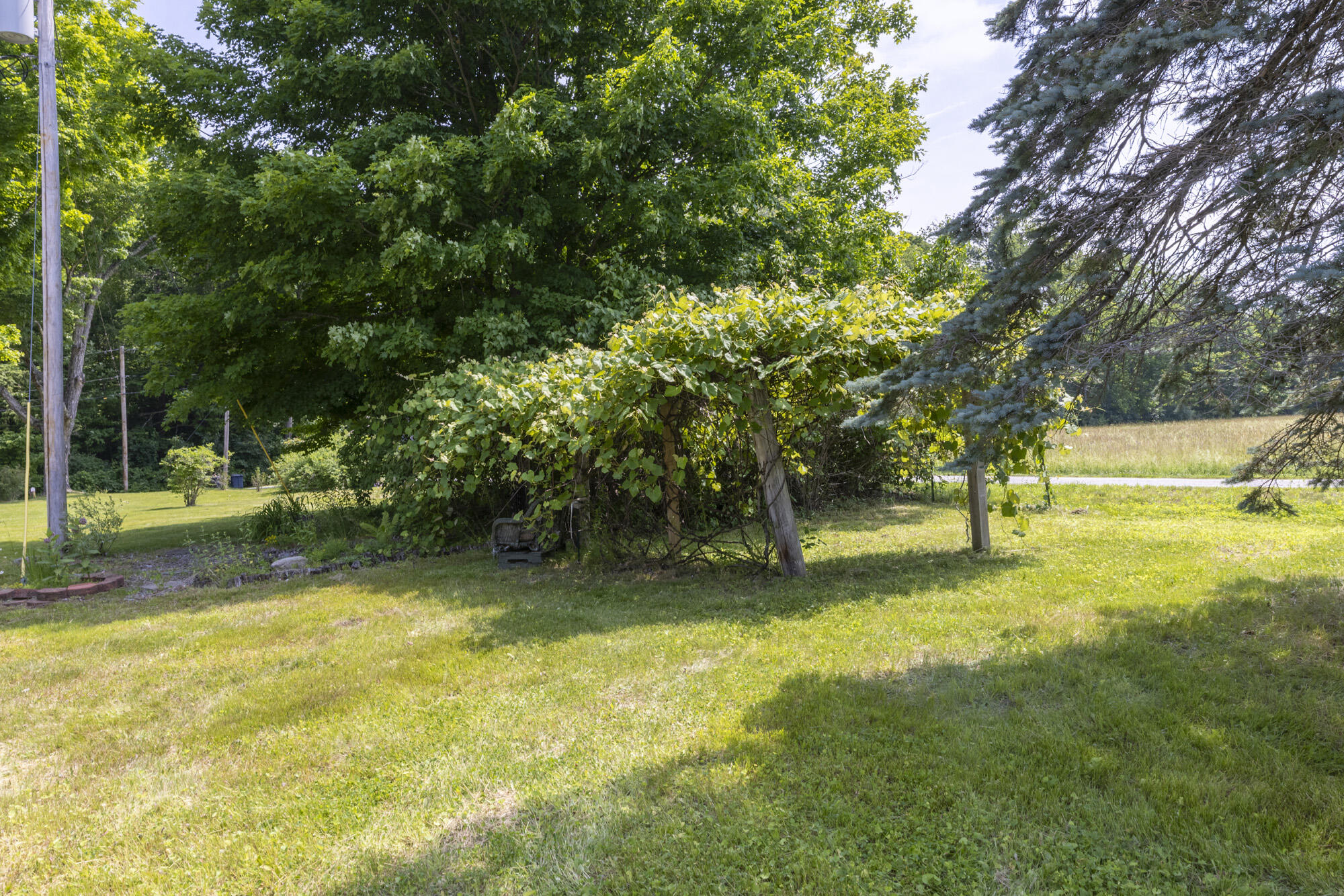 40 Waterman Road Property Photo 6