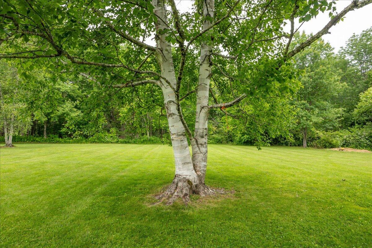 43 Old County Road Property Photo 70