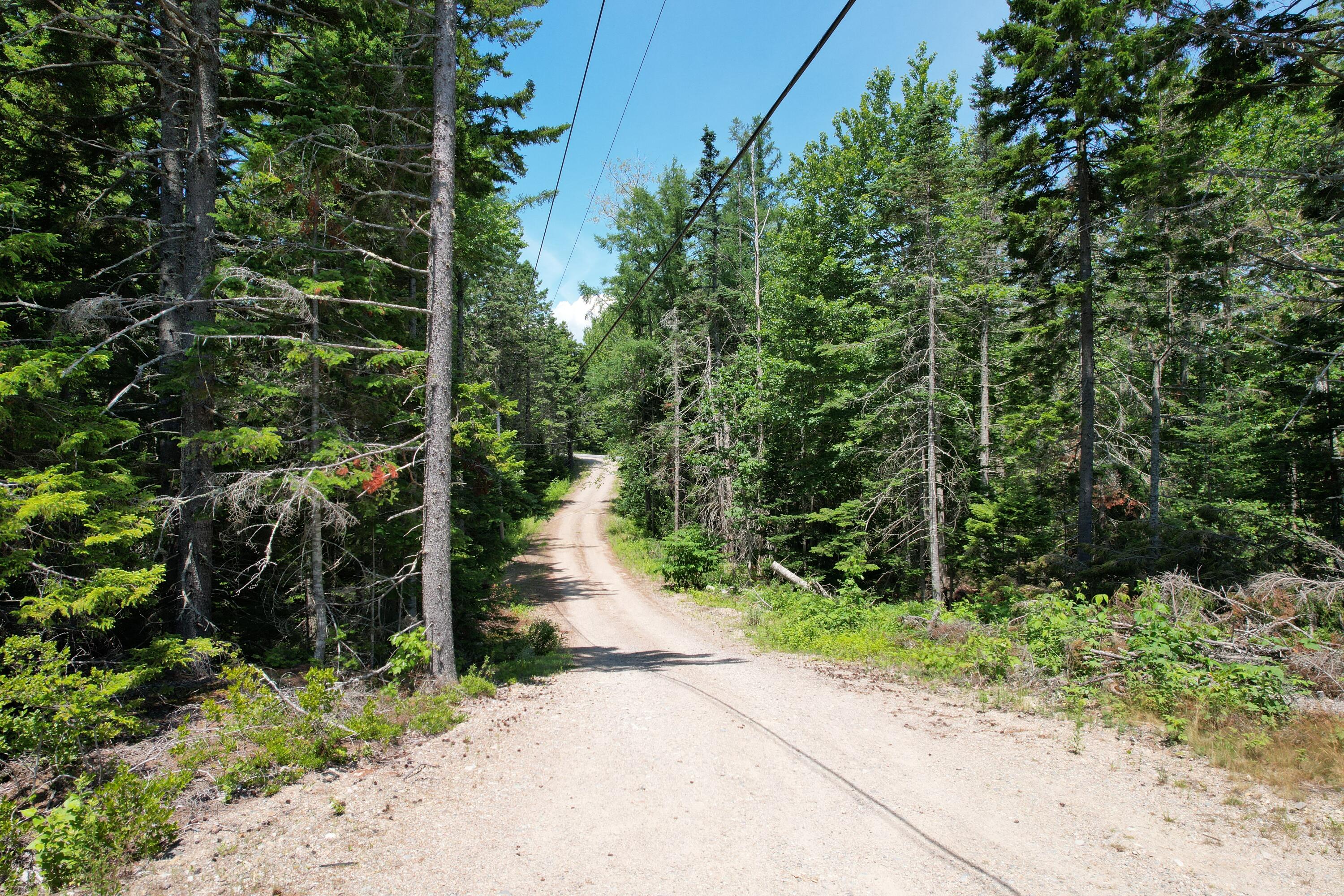 Lot 3 Lois Lane Property Photo 4