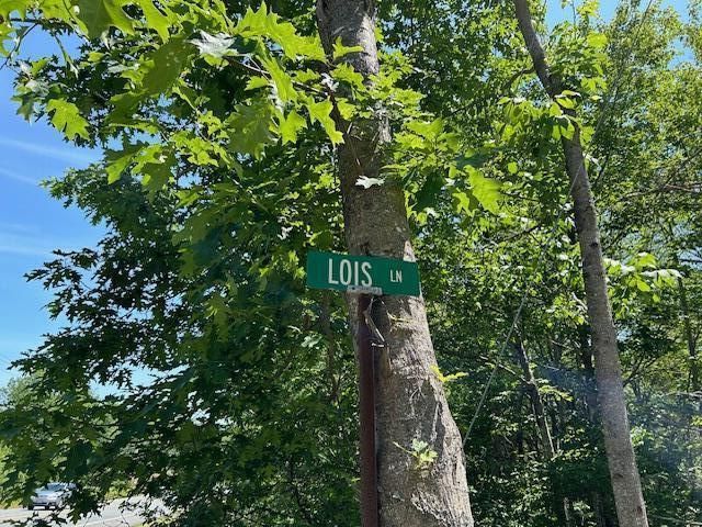 Lot 3 Lois Lane Property Photo 7
