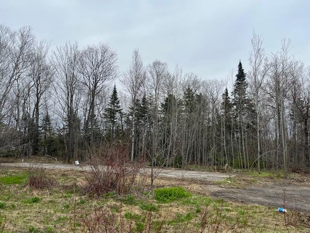 443 Caribou Road Property Photo 29