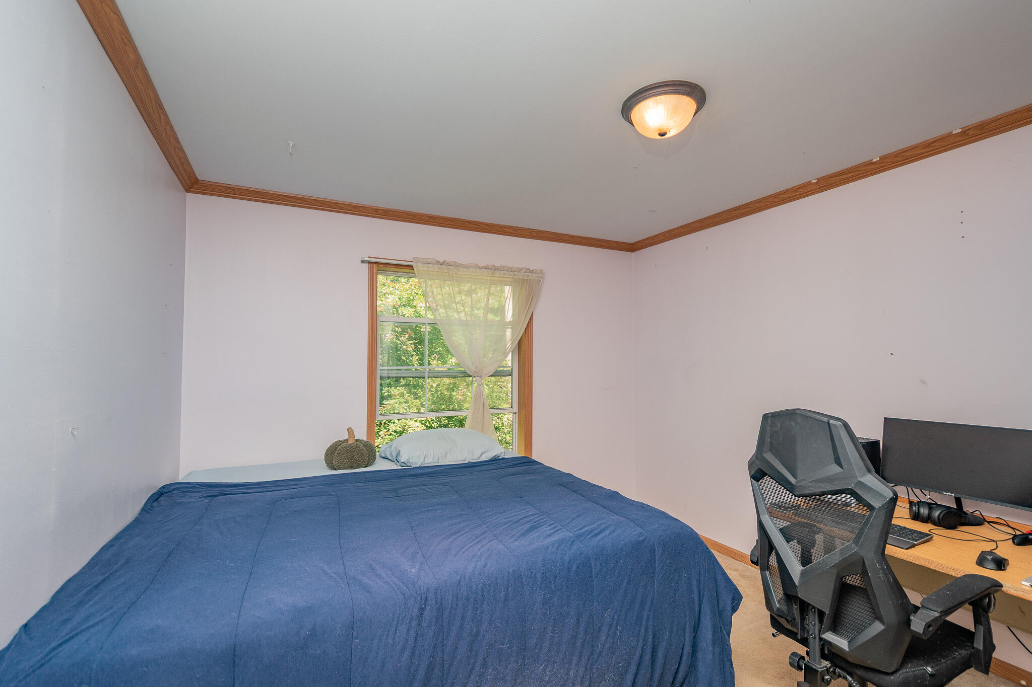 350 Valley Avenue Road Property Photo 20