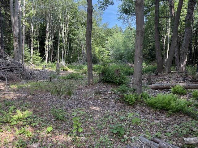 383 Pleasant Avenue Property Photo 5