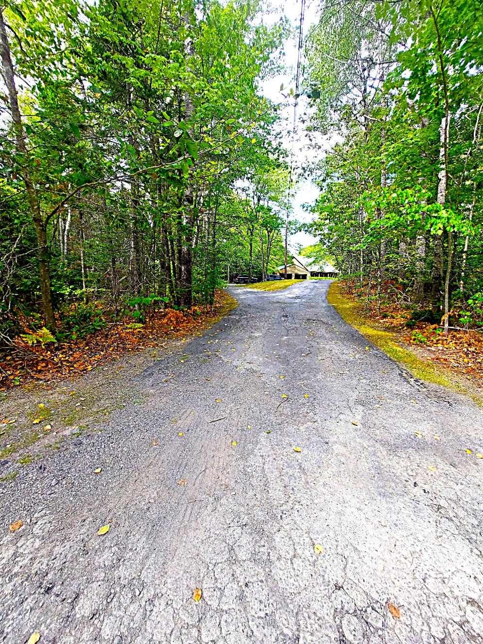 372 Forest Avenue Property Photo 1