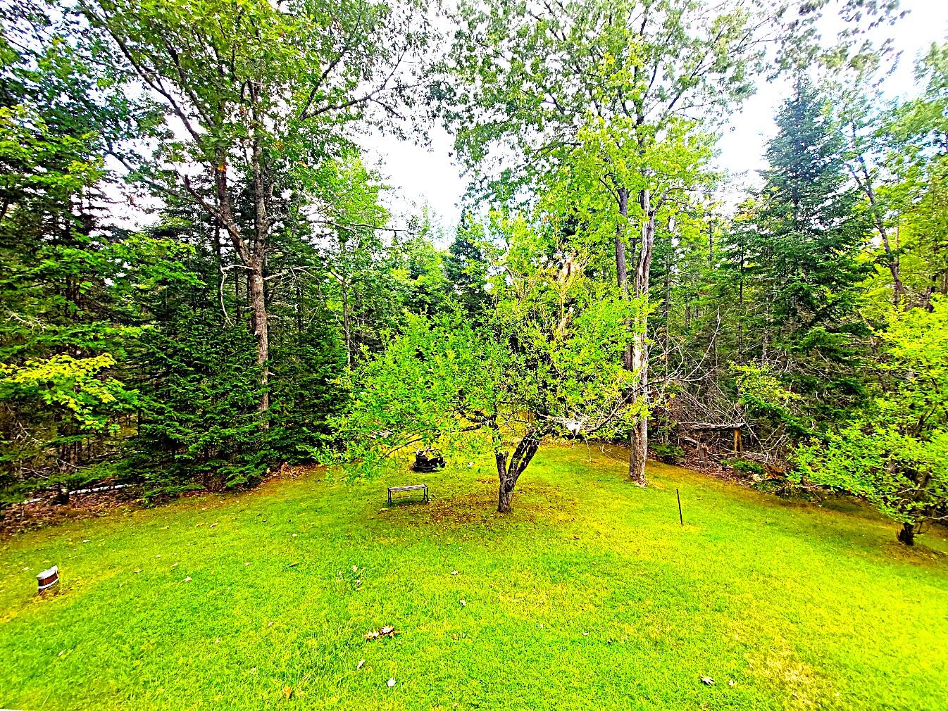 372 Forest Avenue Property Photo 10