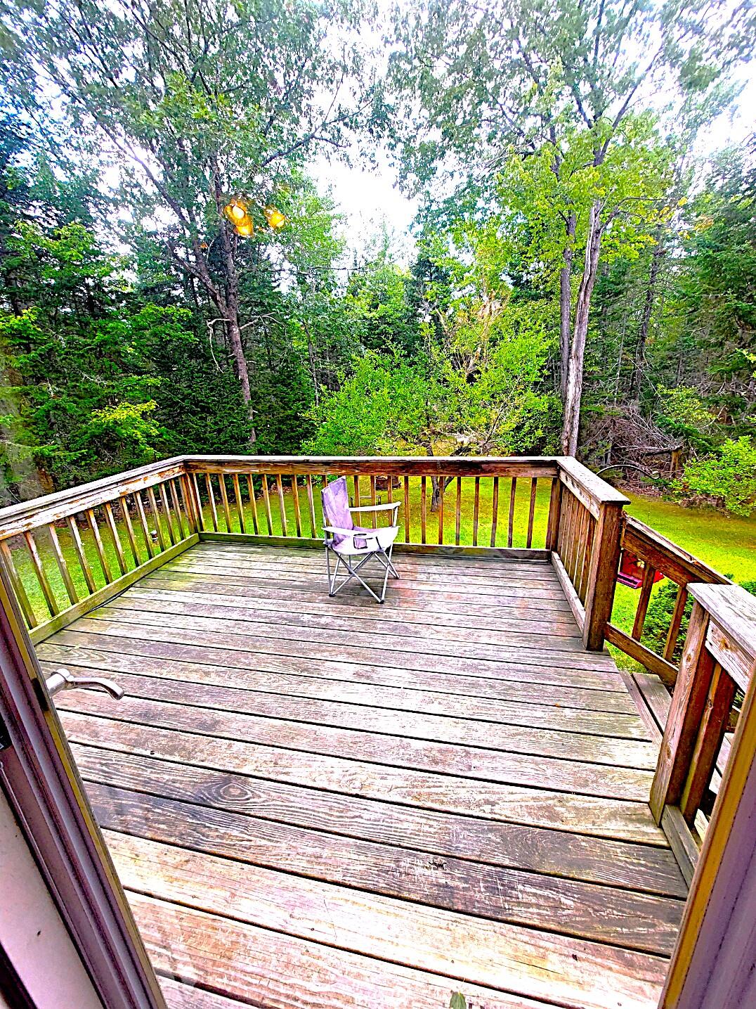 372 Forest Avenue Property Photo 35