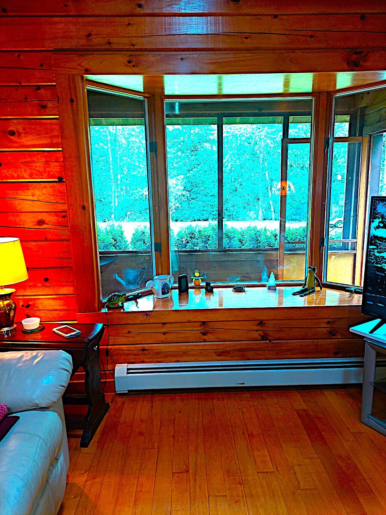 372 Forest Avenue Property Photo 38