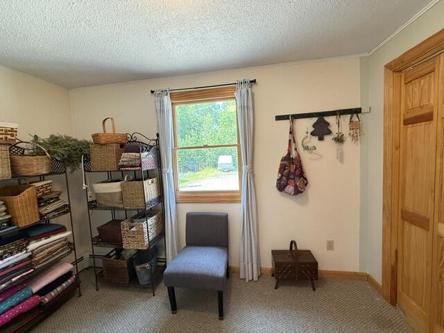 179 Chases Mill Road Property Photo 51